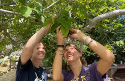 Botany for Kids teaches mindfulness with nature-based summer camps