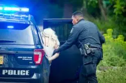 Driver Who Allegedly Fled Police After Crash Offers Shocking Excuse for Hitting Woman