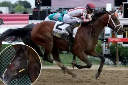 Journalism’s jockey readies for Triple Crown rematch with Sovereignty at Belmont Stakes